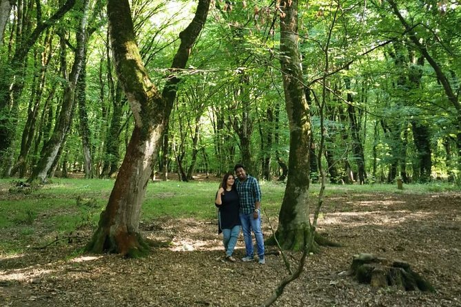 Private Gabala Tour (Full-Day Tour) - Nohur Lake: a quiet break near Gabala