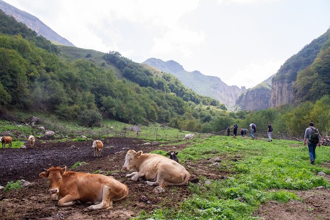 Private Hike through Magic Valley to Laza waterfalls - Snow changes the final transport plan