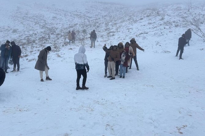 Shahdag Tour and Candy Cane Mountains tour - Who will get the most from this tour