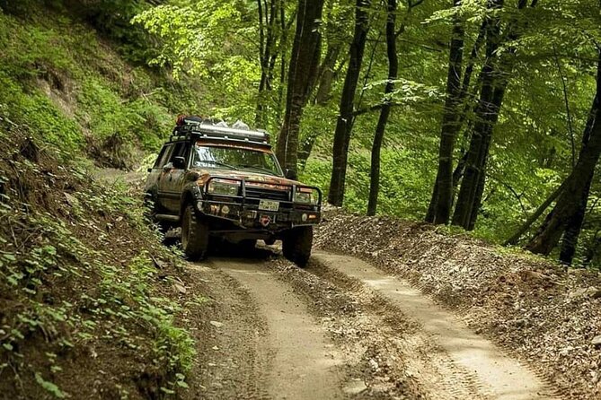 Sheki Adventure Nature Private Tour (Zipline, ATV, Off-road) - Who will enjoy this Sheki day trip most