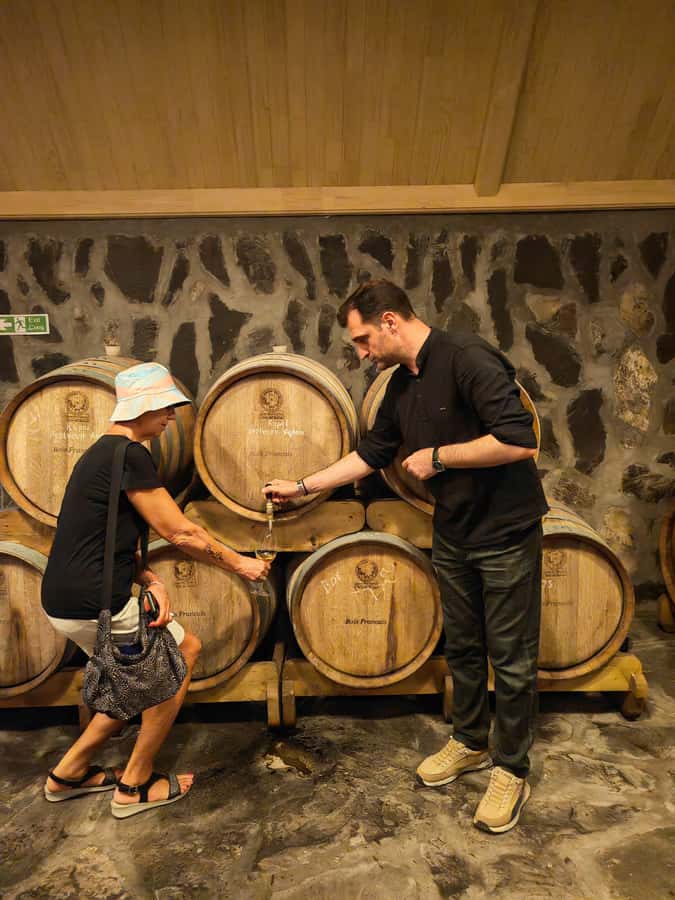 Sparkling Wine tour Sheki with All meals included - Inside the winery: sparkling wine with local roots