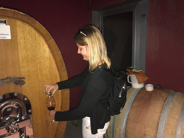 Wine Tour Baku - Cheese, Olives, and Fresh Vegetables