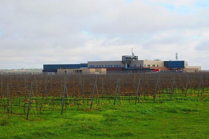 Wine Tour Baku - Who Will Enjoy This Baku Wine Tour?