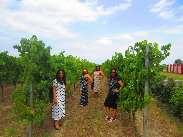 Wine Tour Qabala with Local Lunch - What the $225 price really covers