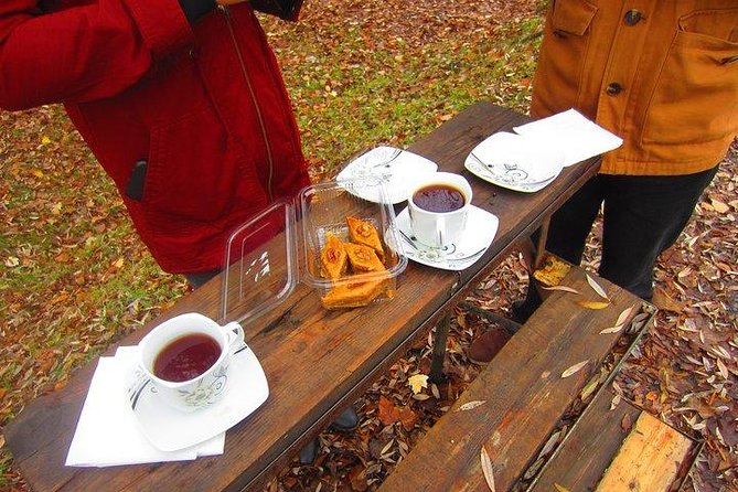 Wine Tour Qabala with Local Lunch - The guide and the feel of a private day